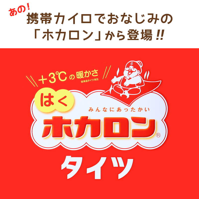 発熱タイツ レディース タイツ ホカロン あたたかい あったかい 防寒 40デニール 2足組 M-L L-LL 暖かい 蓄熱 アツギ 黒 atsugi 冬 秋 寒さ対策 2p