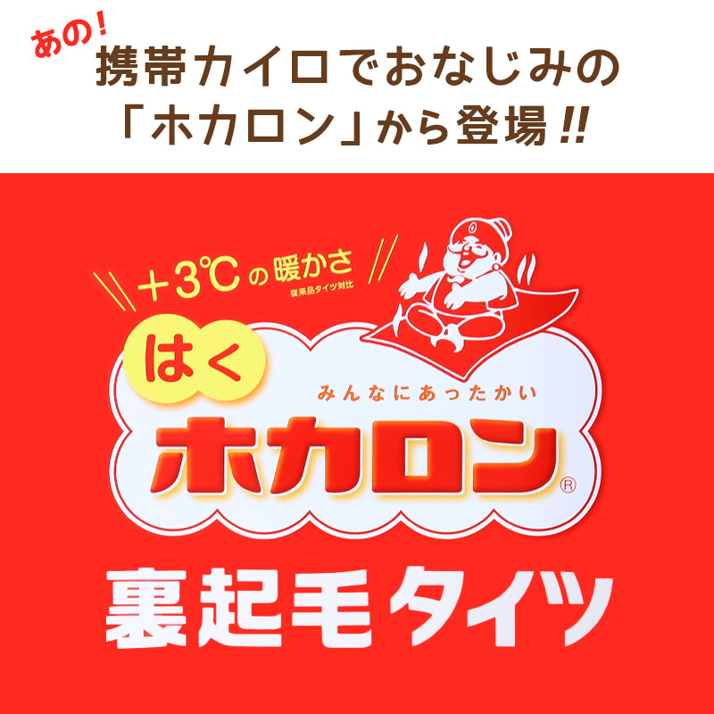 発熱タイツ レディース タイツ ホカロン あたたかい あったかい 防寒 110デニール 2足組 M-L L-LL 暖かい 蓄熱 アツギ 黒 atsugi 冬 秋 寒さ対策 2p