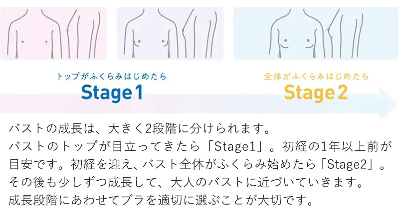 グンゼ ボディワイルド メッシュ 前とじ ボクサーブリーフ M～LL (GUNZE ボディワイルド メンズ 男 紳士 ボクサー ブリーフ パンツ 前とじ シンプル 立体 フィット ソフト bodywild) (在庫限り)