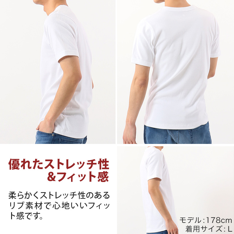 Hanes ビジカジ魂 VTシャツ 2枚組　BIG 3L～5L (V首 ヘインズ 綿100% Tシャツ 白 黒 無地 カジュアル HANES) (在庫限り)