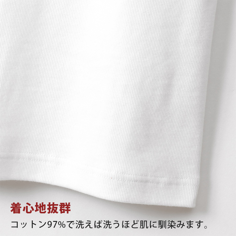 Hanes ビジカジ魂 VTシャツ 2枚組　BIG 3L～5L (V首 ヘインズ 綿100% Tシャツ 白 黒 無地 カジュアル HANES) (在庫限り)