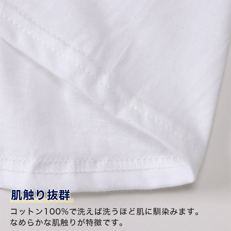 ヘインズ メンズ Tシャツ Vネック インナー 半袖 綿 3枚組 M～LL Hanes 綿100 インナーシャツ アンダーウェア 肌着 下着 男性 無地 v首 コットン