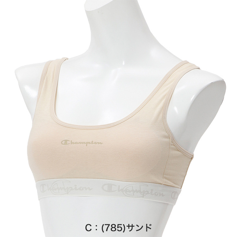 ヘインズ メンズ VネックTシャツ 3枚組 BIG 3L・4L (Hanes Global Value Line 綿100 インナー アンダーウェア 肌着 下着)