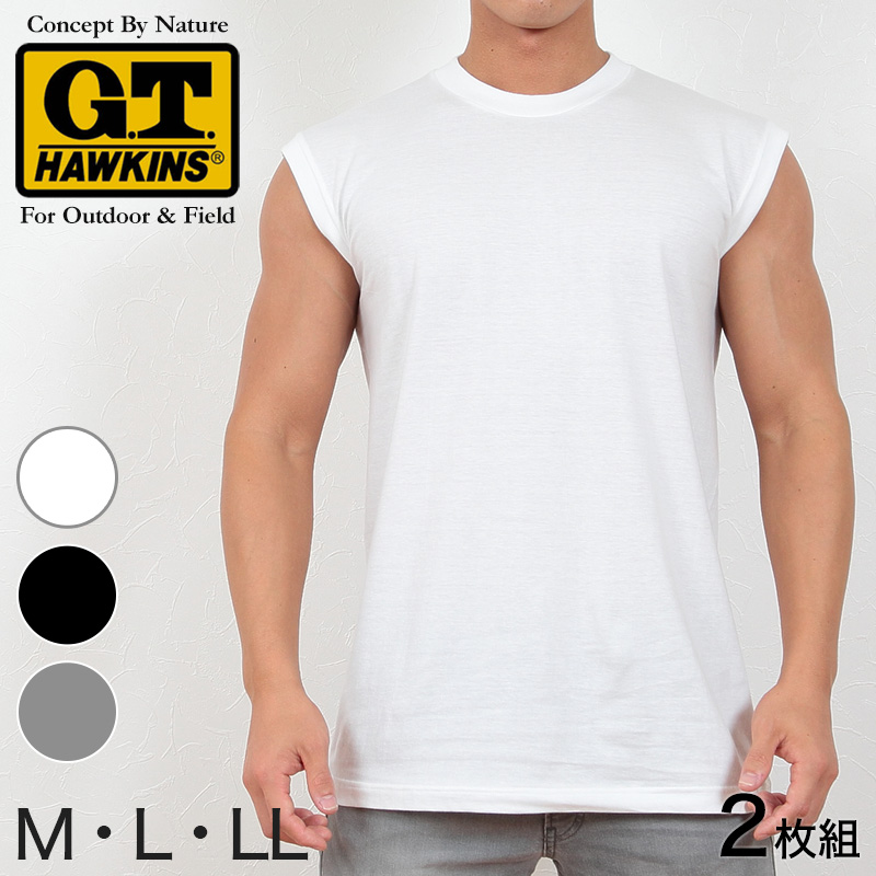 グンゼ 綿100% メンズ インナー 半袖 Vネック Tシャツ 2枚組 M～LL GUNZE GTホーキンス 下着 インナーシャツ tシャツ 男性 紳士 V首 肌着 インナー M L LL