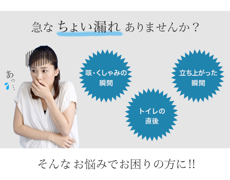 Suteteko 婦人 30cc対応 備長炭 安心快適ショーツ 2枚組 M～LL (中失禁 軽失禁 尿漏れ レディース パンティー 失禁パンツ 失禁ショーツ 吸水) (在庫限り)