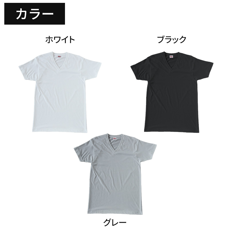 bvd tシャツ ゴールド 綿100 クルーネック メンズ LL 丸首 BVD インナー シャツ 肌着 下着 半袖 コットン シンプル 無地 白 黒 グレー