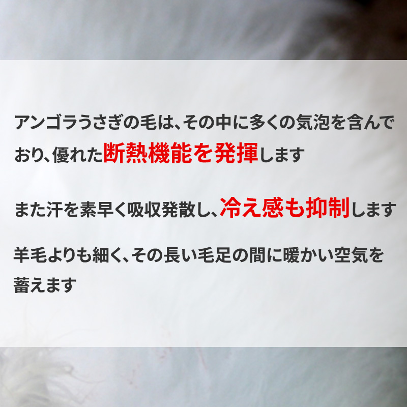 遠赤外線 メンズ U首 長袖 前開き 肌着 冬 アンゴラ混 インナー M～LL マジックテープ ワンタッチ 下着 長袖シャツ 紳士 中綿 発熱 防寒 あったか あたたかい ワンタッチ プレゼント ギフト